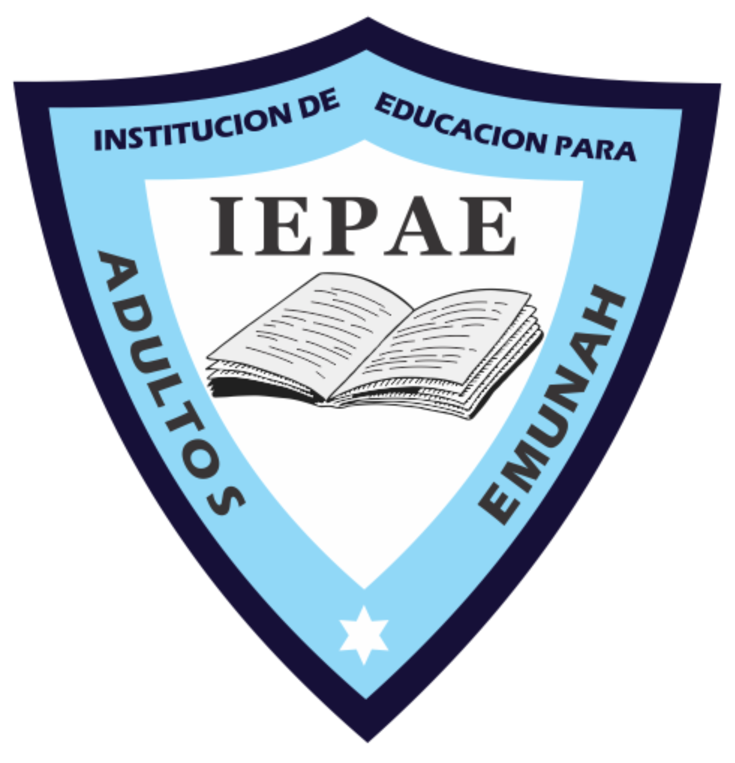 Institución Educativa para Jovenes y Adultos Emunah